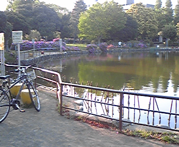 近所の池がある公園