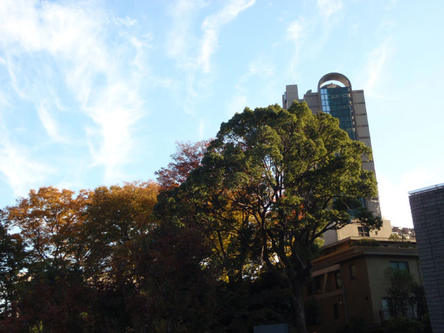 20101124_02[1]